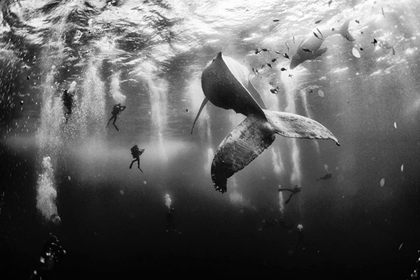 1o-Lugar-concurso-de-fotos-national-geographic-2015